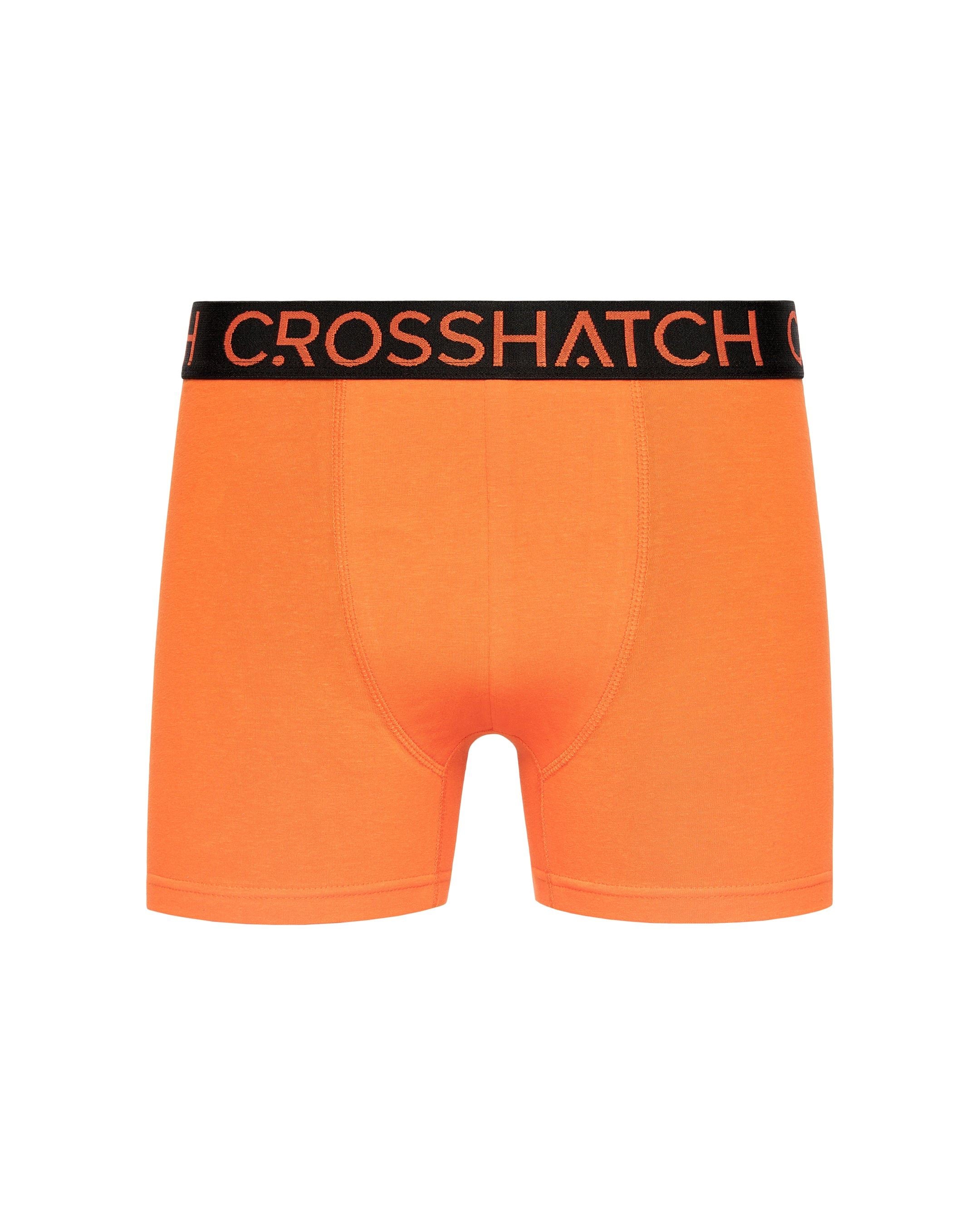 Highlighter Boxers 12pk Assorted