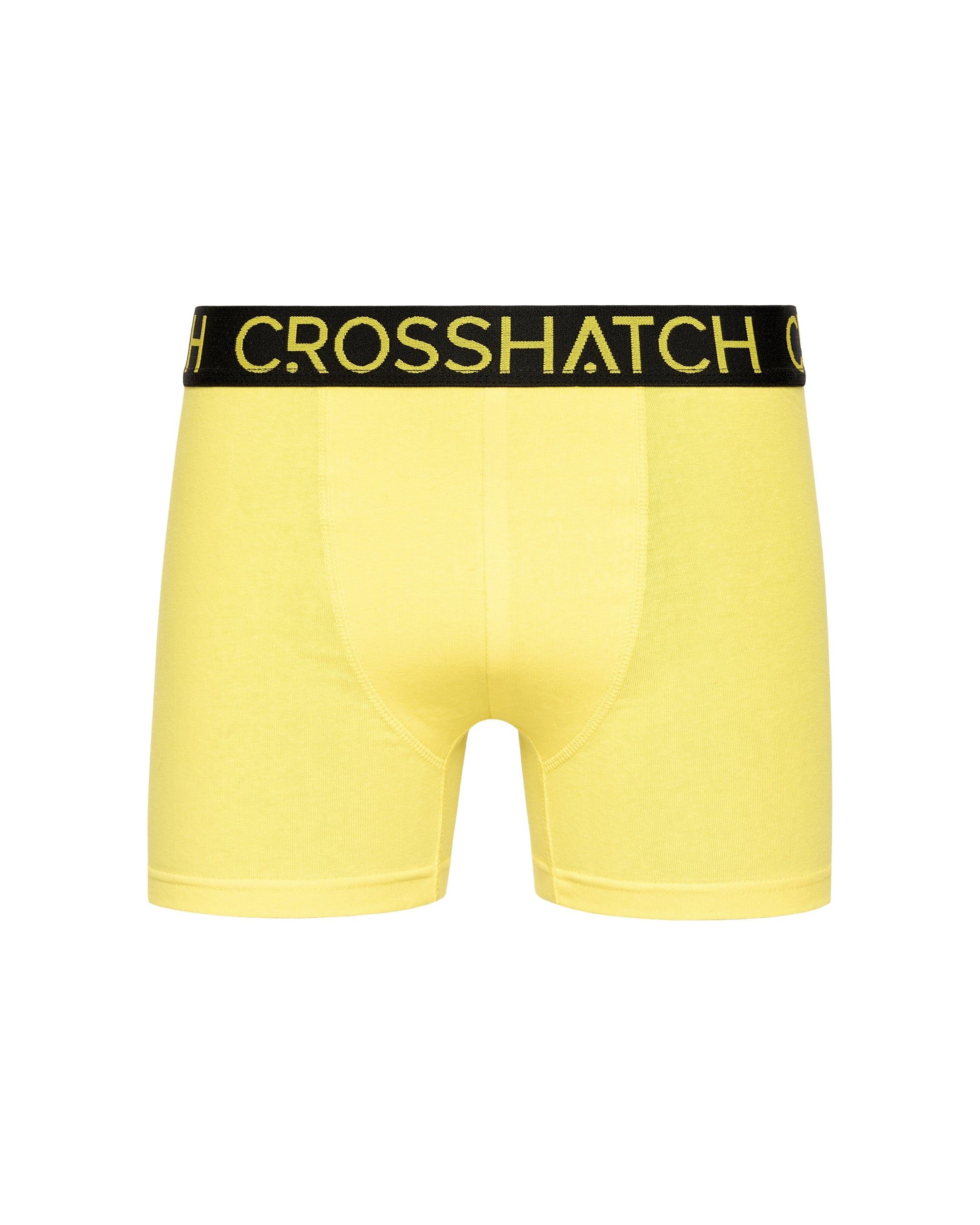 Highlighter Boxers 12pk Assorted