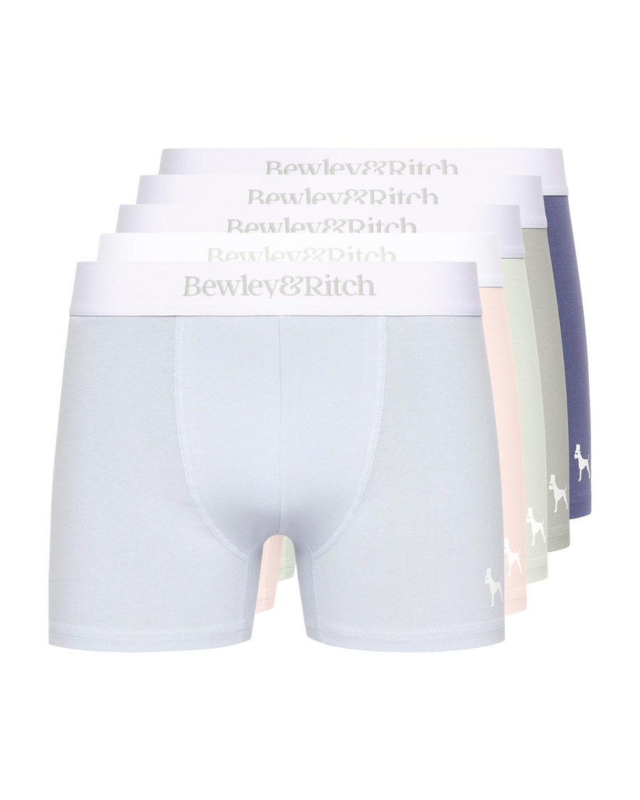 Mens Albireo Boxers 5pk Pastel Mix