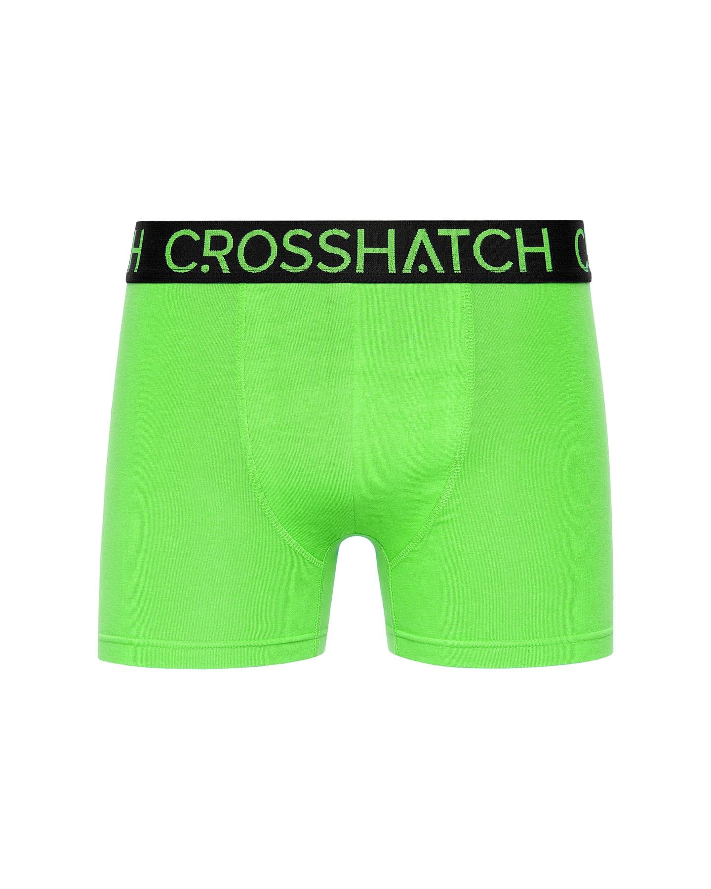 Highlighter Boxers 12pk Assorted