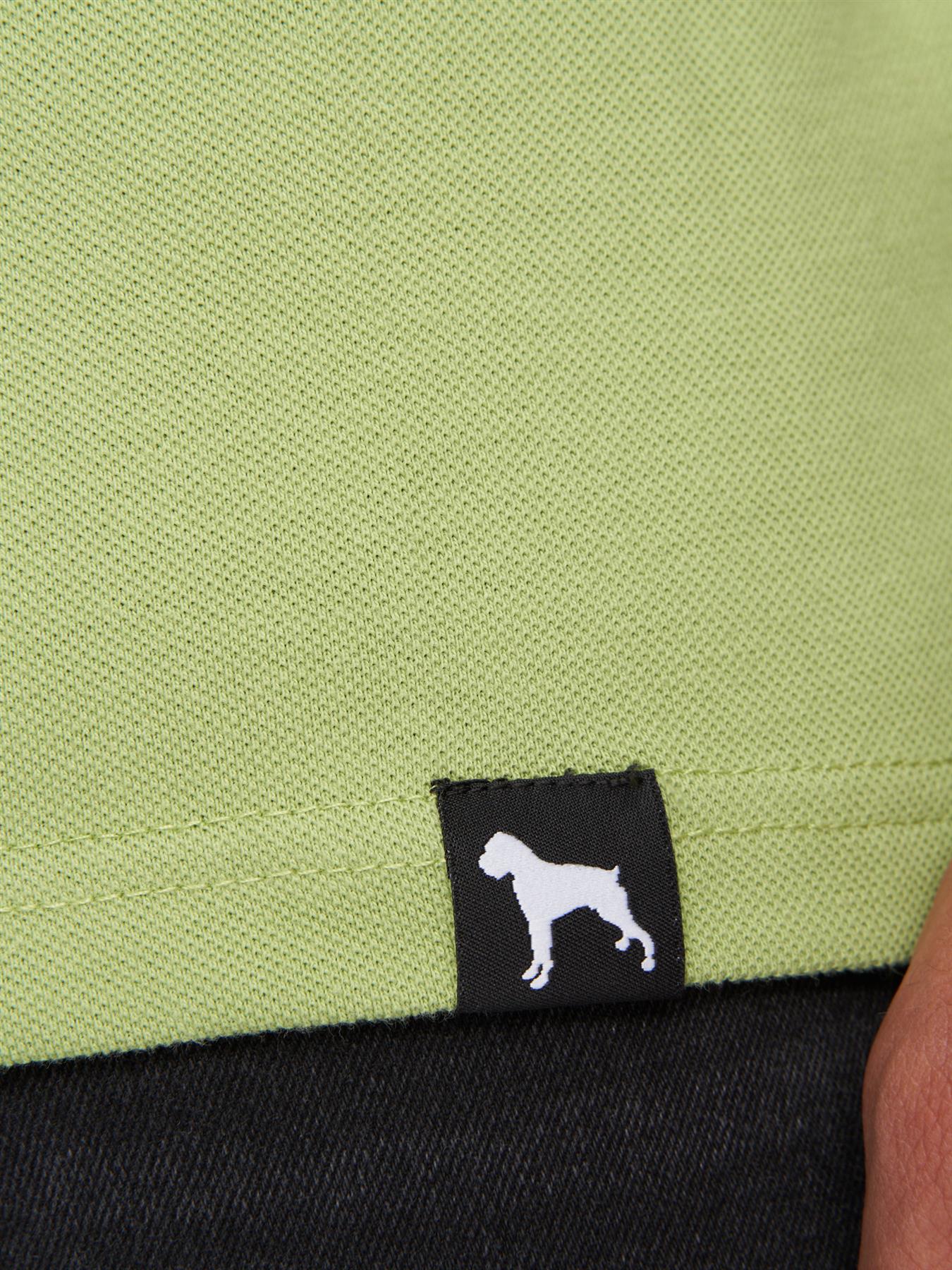 Dexon Polo Green